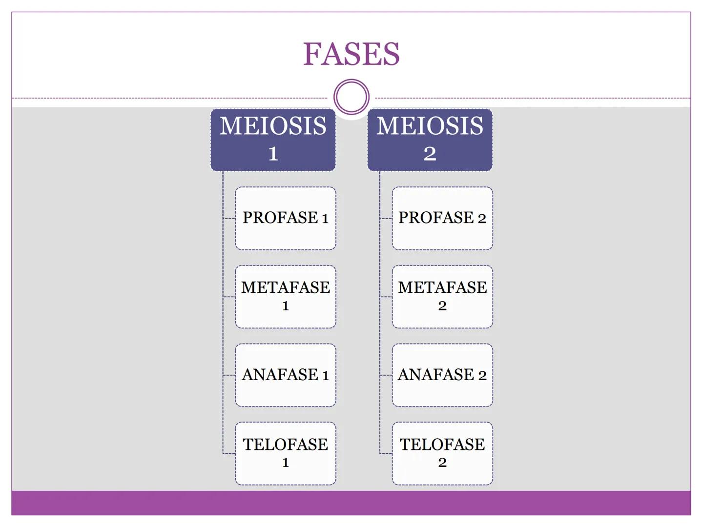 # DIVISIÓN
# CELULAR
“TODAS LAS CÉLULAS PROVIENEN DE OTRAS
CÉLULAS.” # La división celular transmite información
hereditaria a las células