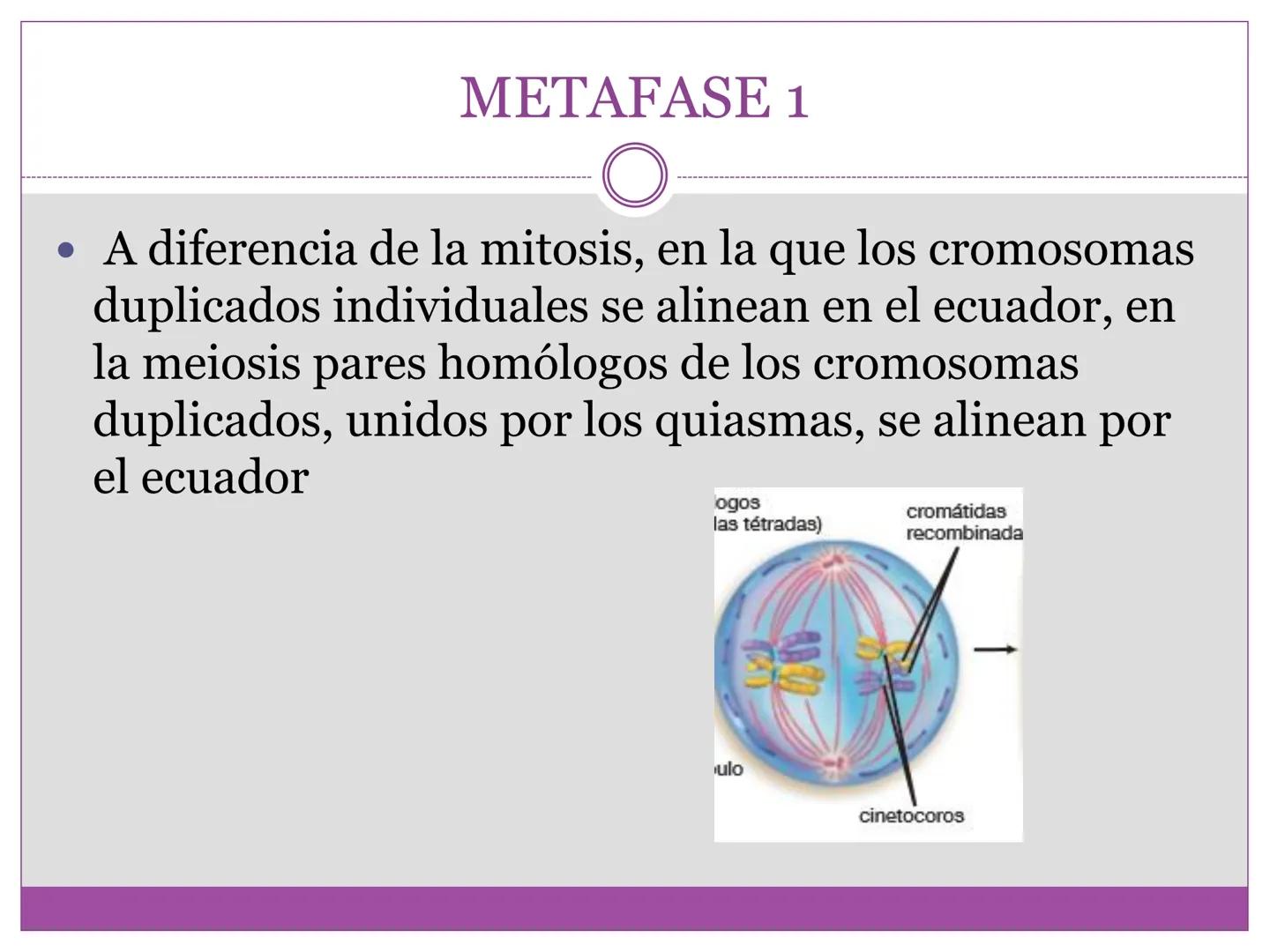 # DIVISIÓN
# CELULAR
“TODAS LAS CÉLULAS PROVIENEN DE OTRAS
CÉLULAS.” # La división celular transmite información
hereditaria a las células
