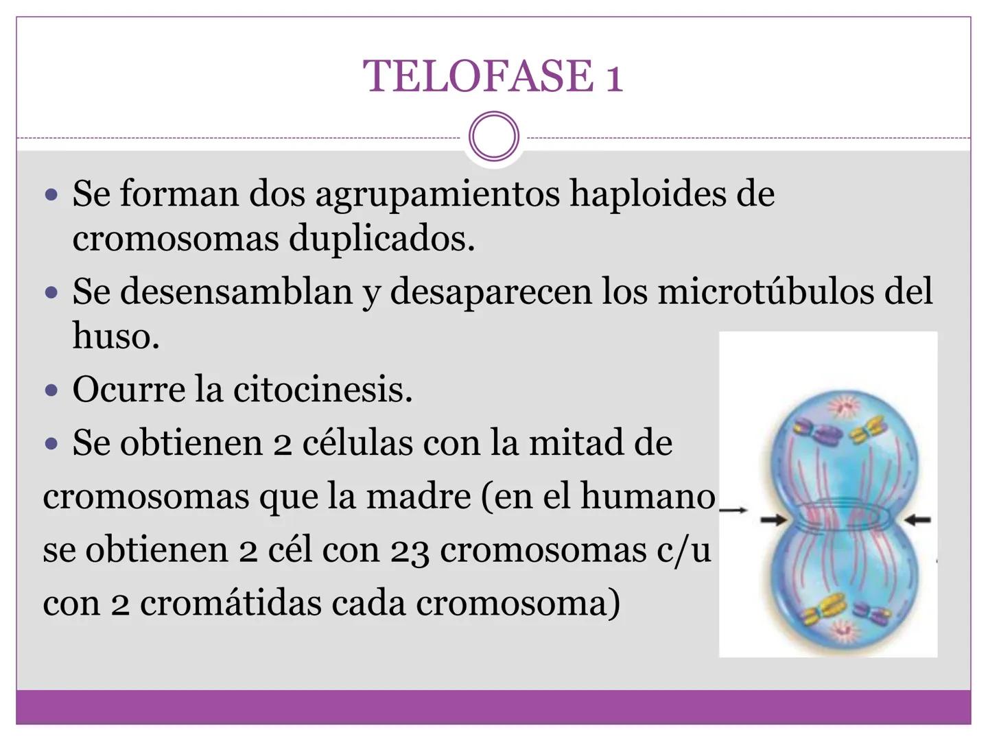 # DIVISIÓN
# CELULAR
“TODAS LAS CÉLULAS PROVIENEN DE OTRAS
CÉLULAS.” # La división celular transmite información
hereditaria a las células