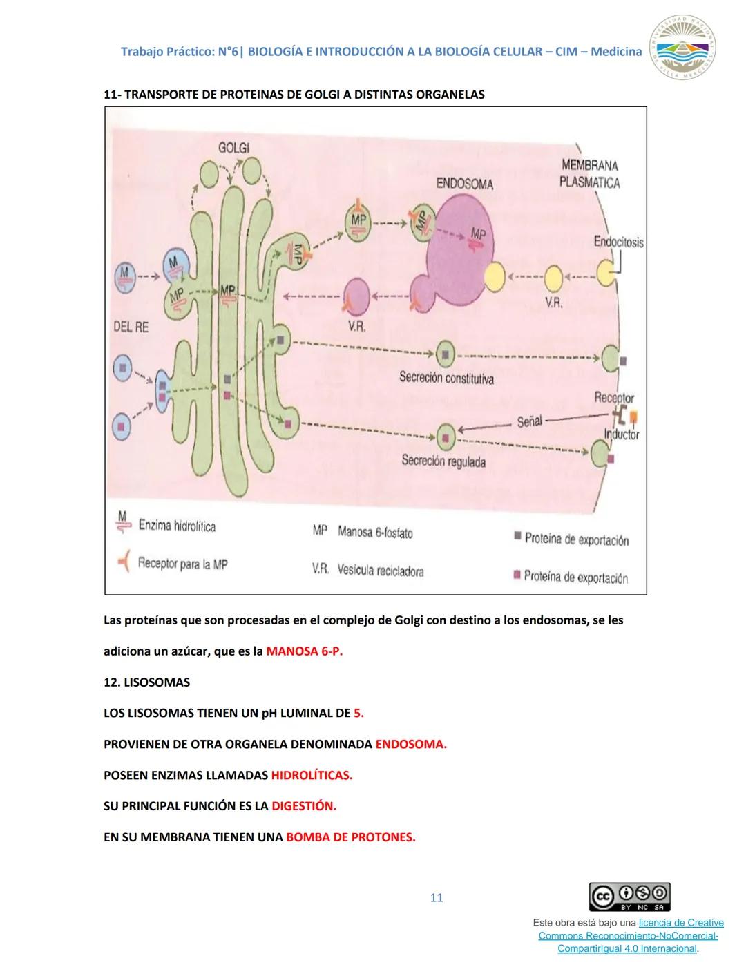 Trabajo Práctico: N°6| BIOLOGÍA E INTRODUCCIÓN A LA BIOLOGÍA CELULAR - CIM - Medicina
Trabajo Práctico N.º 6
Unidad N° 6e
Tema: SISTEMAS DE