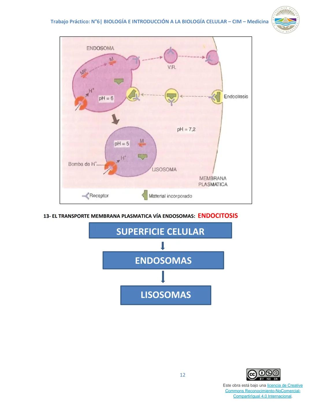 Trabajo Práctico: N°6| BIOLOGÍA E INTRODUCCIÓN A LA BIOLOGÍA CELULAR - CIM - Medicina
Trabajo Práctico N.º 6
Unidad N° 6e
Tema: SISTEMAS DE
