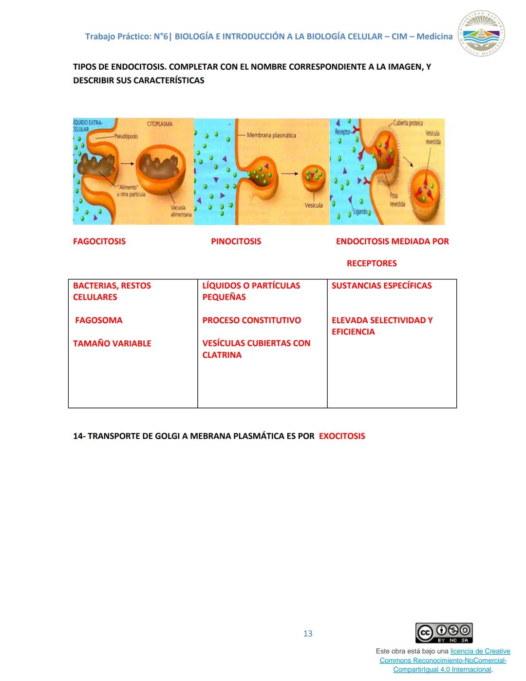 Trabajo Práctico: N°6| BIOLOGÍA E INTRODUCCIÓN A LA BIOLOGÍA CELULAR - CIM - Medicina
Trabajo Práctico N.º 6
Unidad N° 6e
Tema: SISTEMAS DE