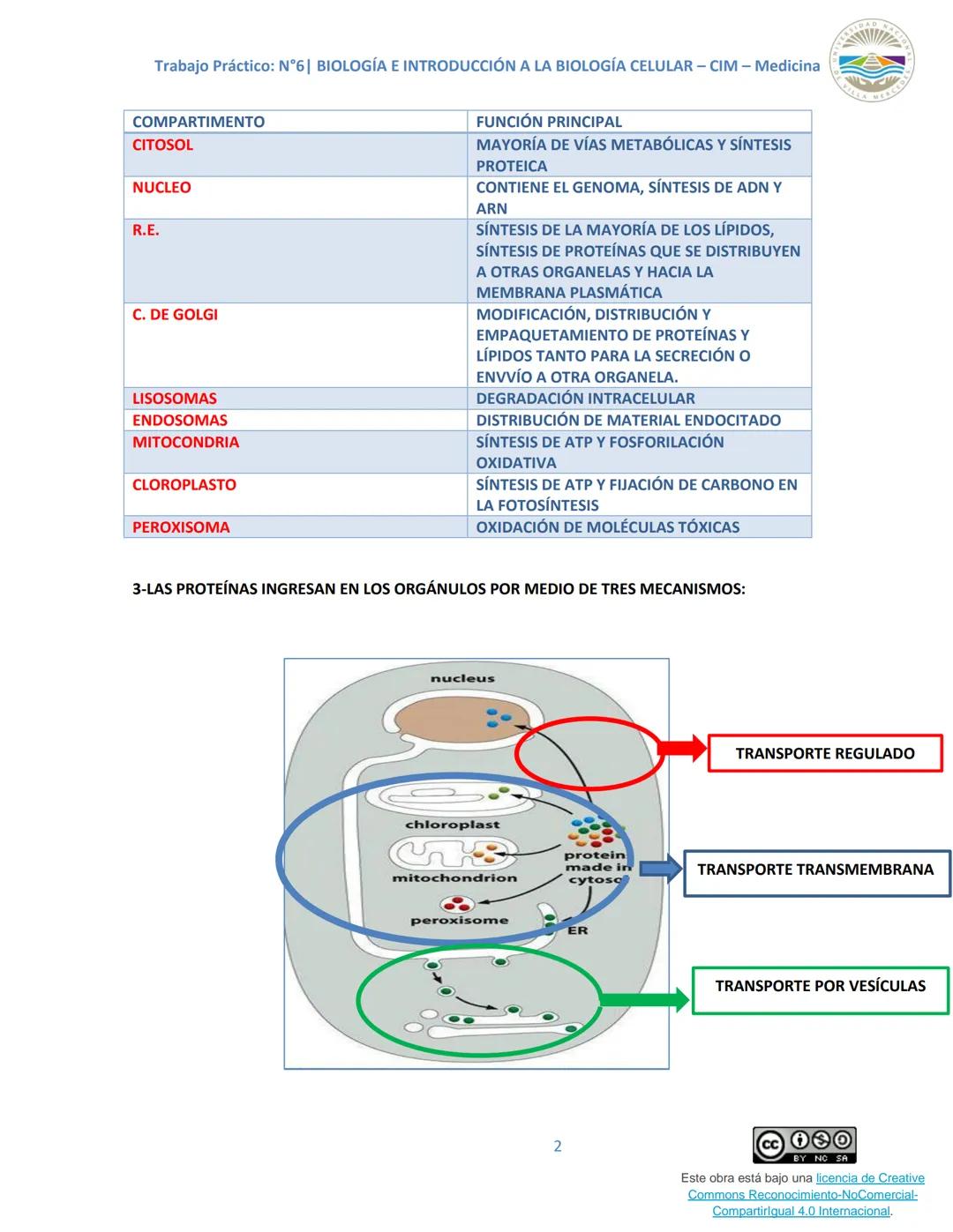 Trabajo Práctico: N°6| BIOLOGÍA E INTRODUCCIÓN A LA BIOLOGÍA CELULAR - CIM - Medicina
Trabajo Práctico N.º 6
Unidad N° 6e
Tema: SISTEMAS DE