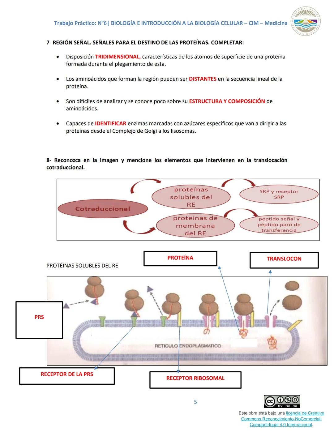 Trabajo Práctico: N°6| BIOLOGÍA E INTRODUCCIÓN A LA BIOLOGÍA CELULAR - CIM - Medicina
Trabajo Práctico N.º 6
Unidad N° 6e
Tema: SISTEMAS DE