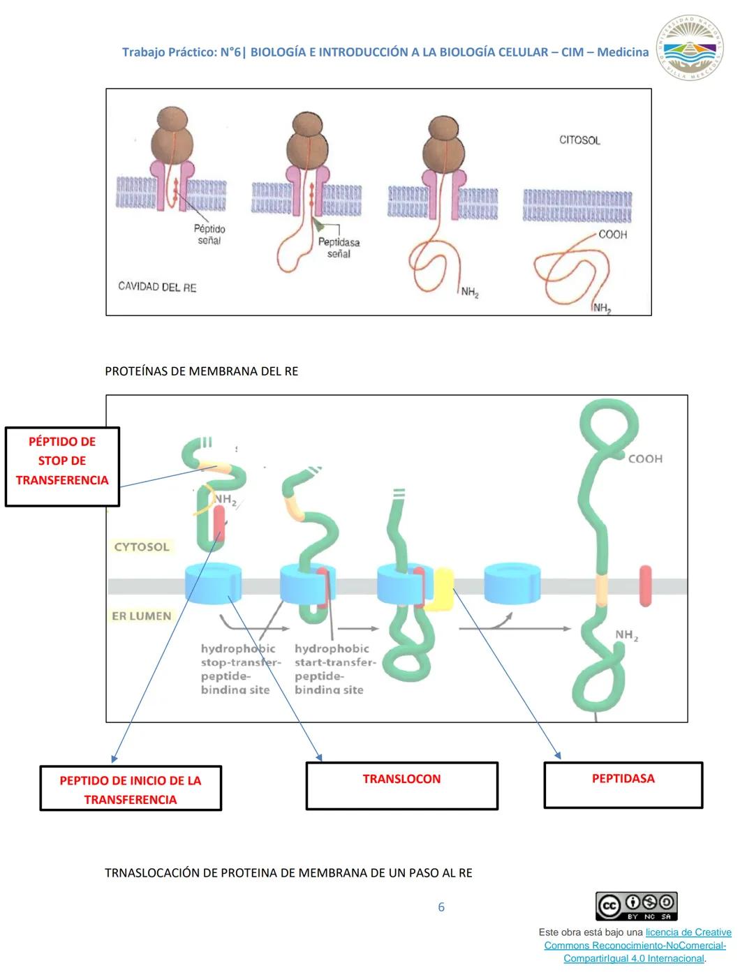 Trabajo Práctico: N°6| BIOLOGÍA E INTRODUCCIÓN A LA BIOLOGÍA CELULAR - CIM - Medicina
Trabajo Práctico N.º 6
Unidad N° 6e
Tema: SISTEMAS DE