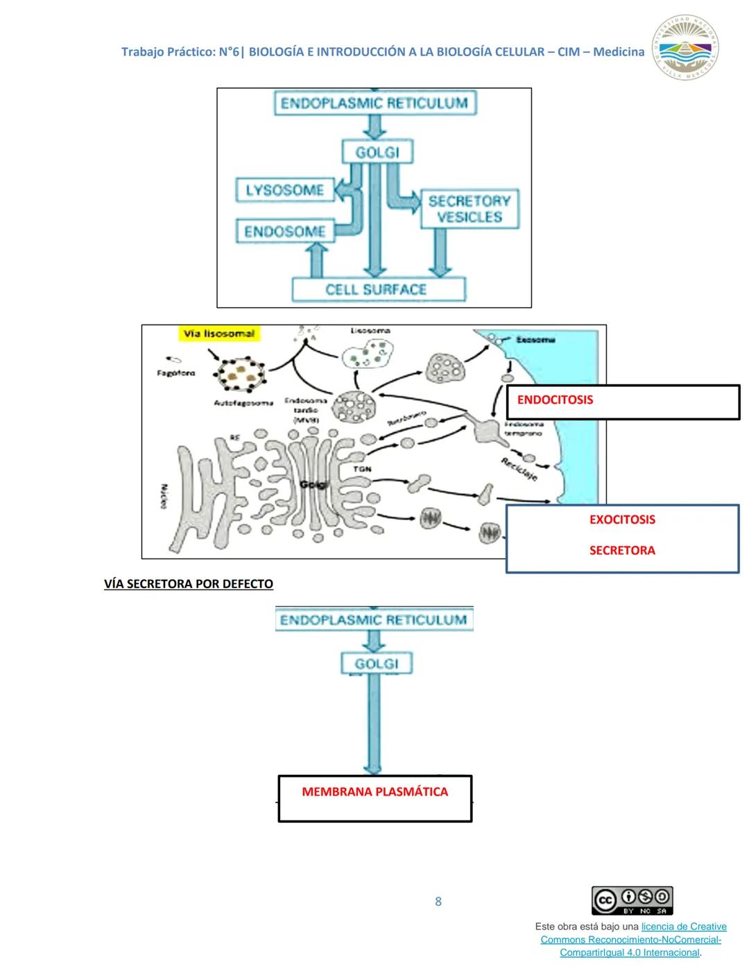 Trabajo Práctico: N°6| BIOLOGÍA E INTRODUCCIÓN A LA BIOLOGÍA CELULAR - CIM - Medicina
Trabajo Práctico N.º 6
Unidad N° 6e
Tema: SISTEMAS DE