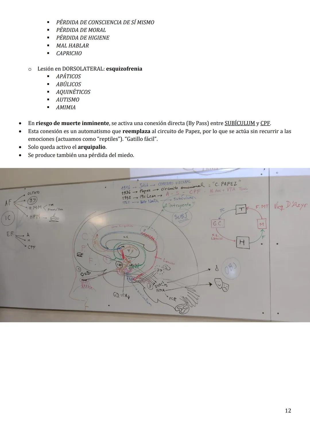 # SISTEMA LÍMBICO
* Está formado por estructuras complejas corticales y
subcorticales ampliamente distribuidas.
* Es un circuito que conect