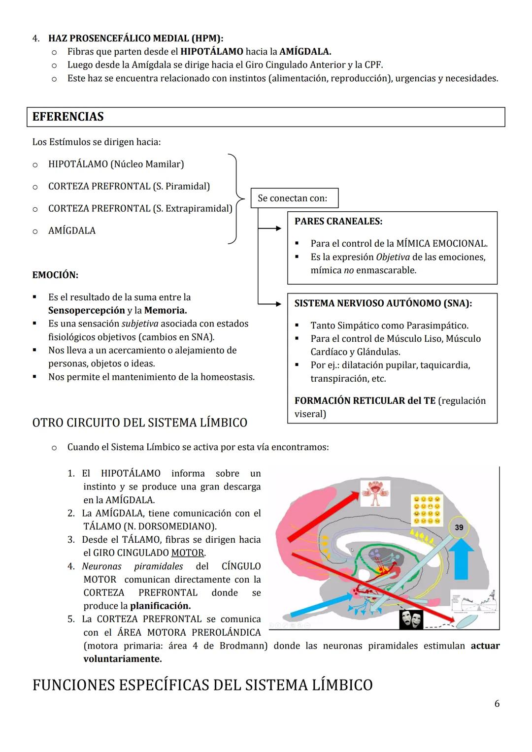 # SISTEMA LÍMBICO
* Está formado por estructuras complejas corticales y
subcorticales ampliamente distribuidas.
* Es un circuito que conect