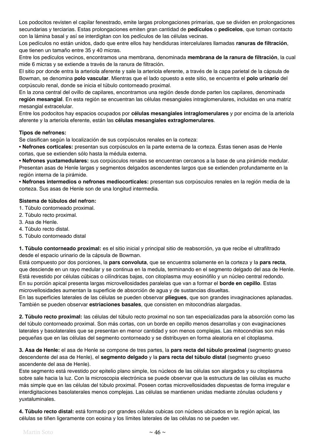 # Histología y embriología
Facultad de ciencias
agrarias y veterinarias
Resúmenes
Año 2019 Índice
• Unidad N°1:
- Microscopio óptico....