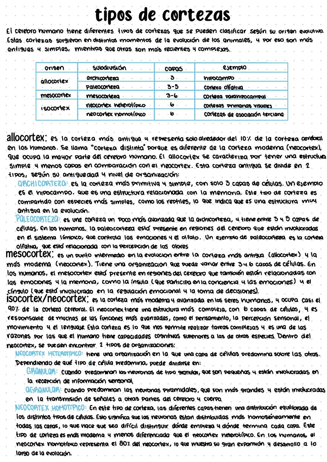 Cortezas Cerebrales (primarias, secundarias, terciarias, unimodales, transmodales)