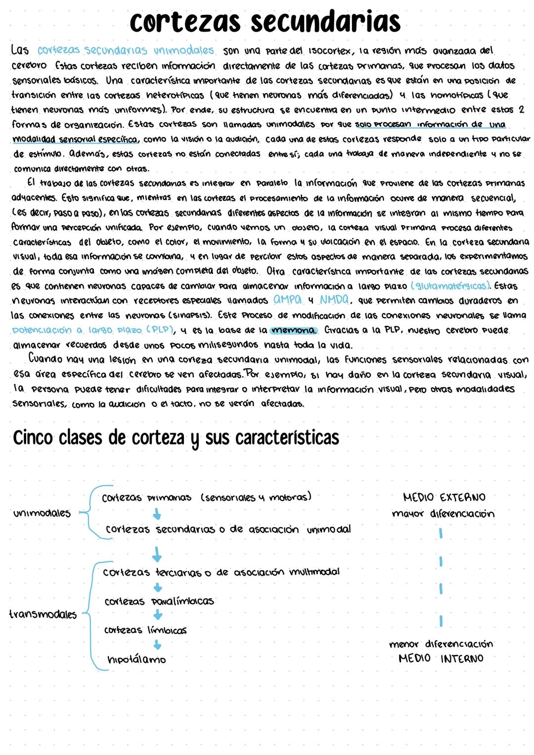 # tipos de cortezas
El cerebro humano tiene diferentes tipos de cortezas que se pueden clasificar según su origen evolutivo.
Estas cortezas