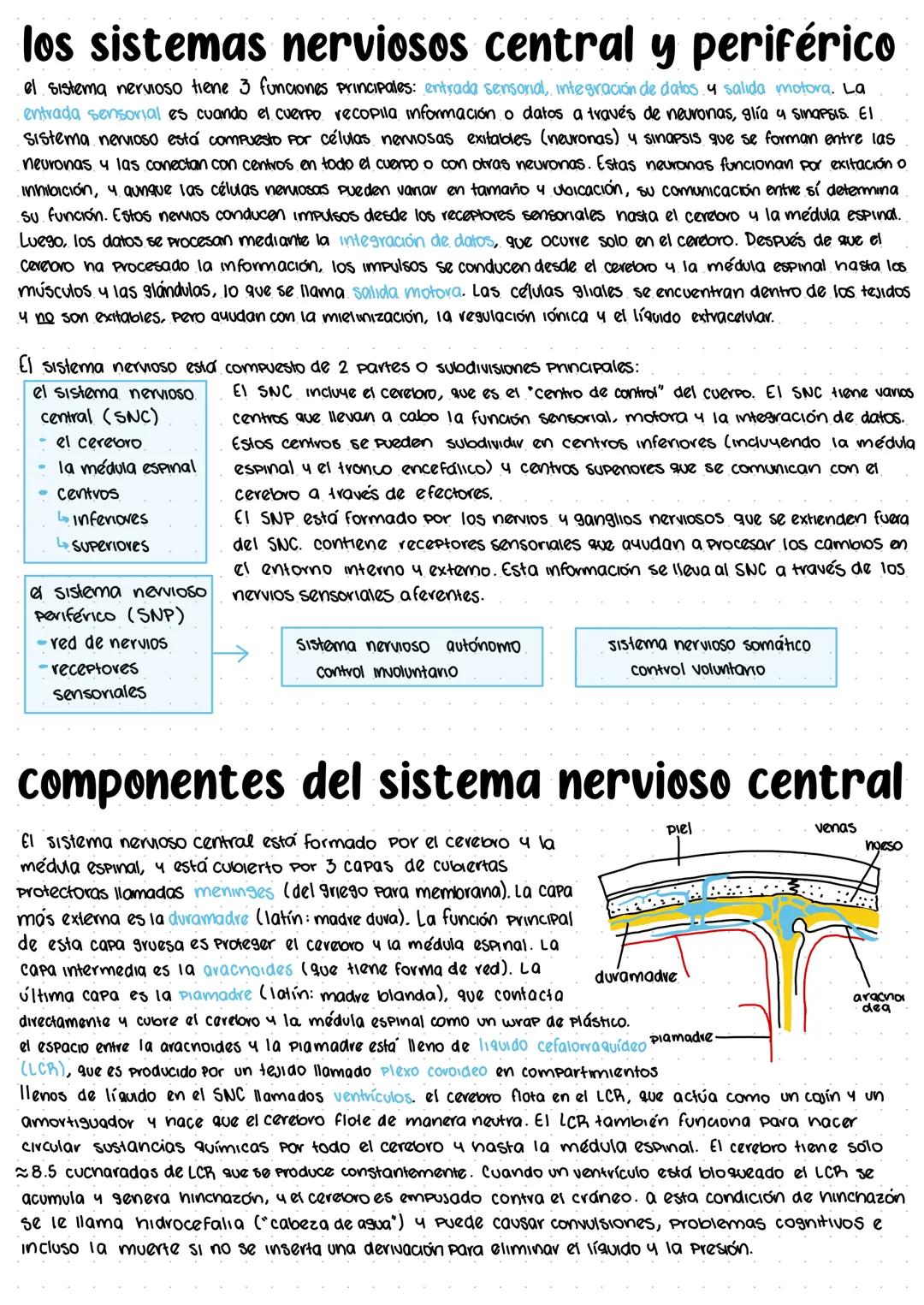 # los sistemas nerviosos central y periférico
el sistema nervioso tiene 3 funciones principales: entrada sensorial, integración de datos y s
