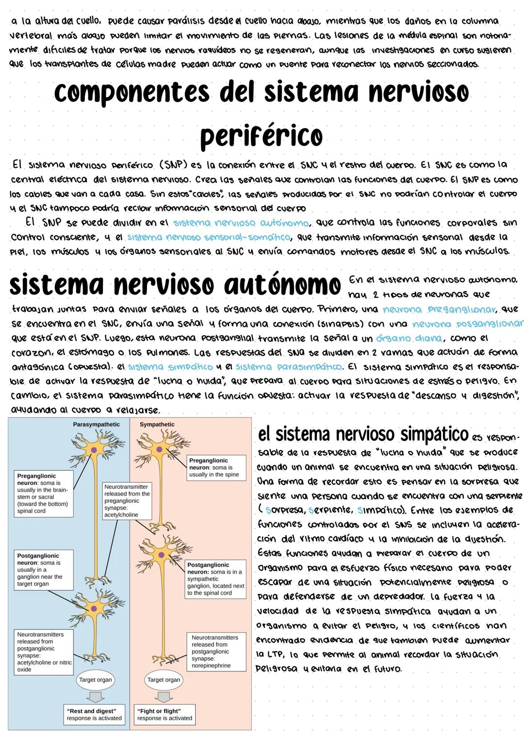 # los sistemas nerviosos central y periférico
el sistema nervioso tiene 3 funciones principales: entrada sensorial, integración de datos y s