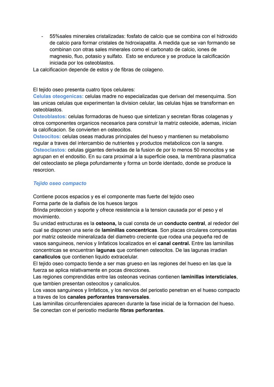 Funciones
TEJIDO OSEO
1- Sosten: sostén de tejidos blandos y puntos de inserción para los tendones
2- Proteccion: protege de lesiones los or