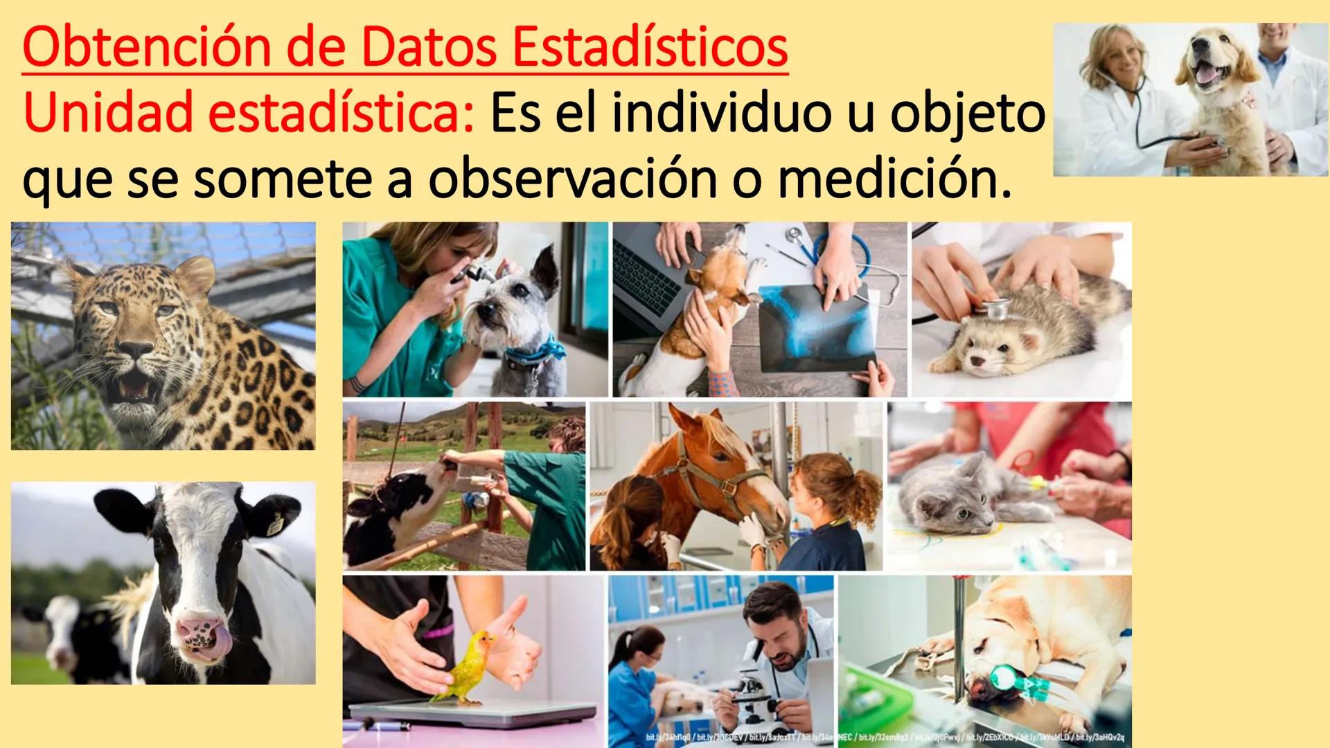 # BIOESTADÍSTICA
## CÁTEDRA DE BIOESTADÍSTICA
Prof. Adjunta: Lic. en Cs. Biológicas (Esp. SP) Daniela E. Vázquez
Auxiliares Docentes: M.V.