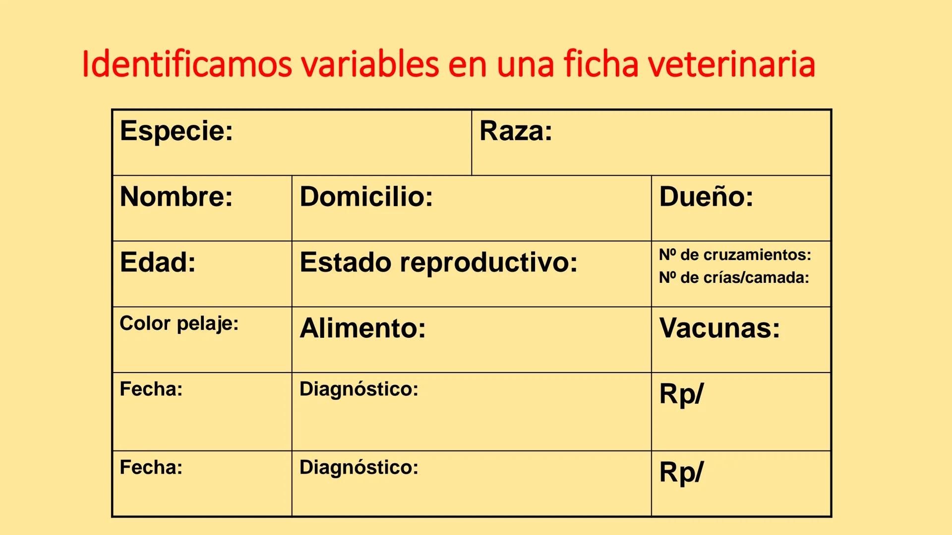 # BIOESTADÍSTICA
## CÁTEDRA DE BIOESTADÍSTICA
Prof. Adjunta: Lic. en Cs. Biológicas (Esp. SP) Daniela E. Vázquez
Auxiliares Docentes: M.V.