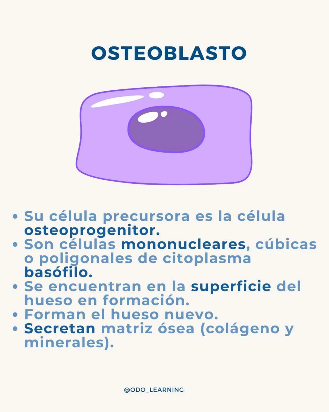 # ¿SABÉS DIFERENCIAR LAS
CÉLULAS DEL TÉJIDO NERVIOSO?
¡APRENDÉ DE FORMA CLARA Y SENCILLA!
NEURONA
NEUROGLIAS
SNC
SNP
ASTROCITOS
CÉLULA SATEL