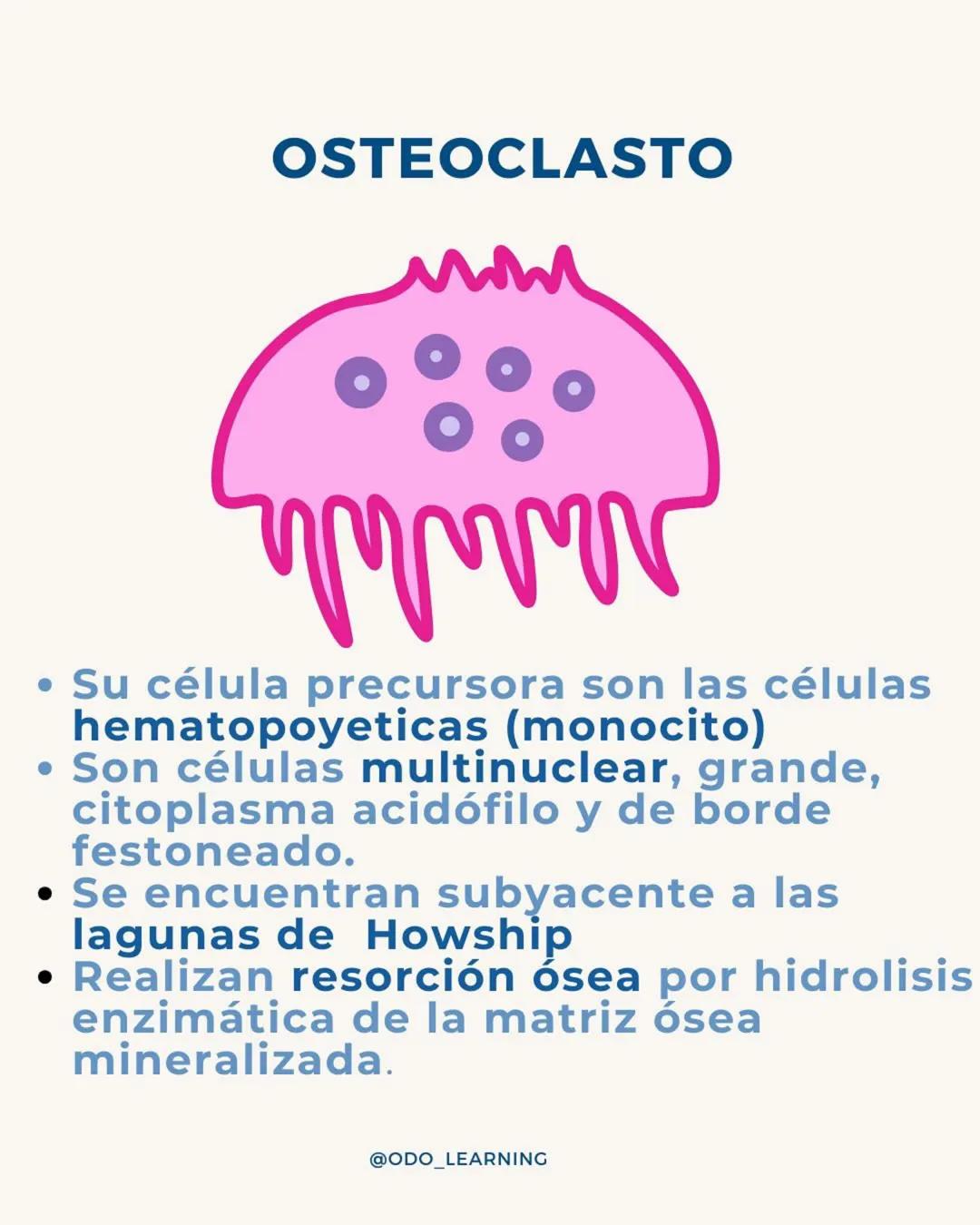 # ¿SABÉS DIFERENCIAR LAS
CÉLULAS DEL TÉJIDO NERVIOSO?
¡APRENDÉ DE FORMA CLARA Y SENCILLA!
NEURONA
NEUROGLIAS
SNC
SNP
ASTROCITOS
CÉLULA SATEL
