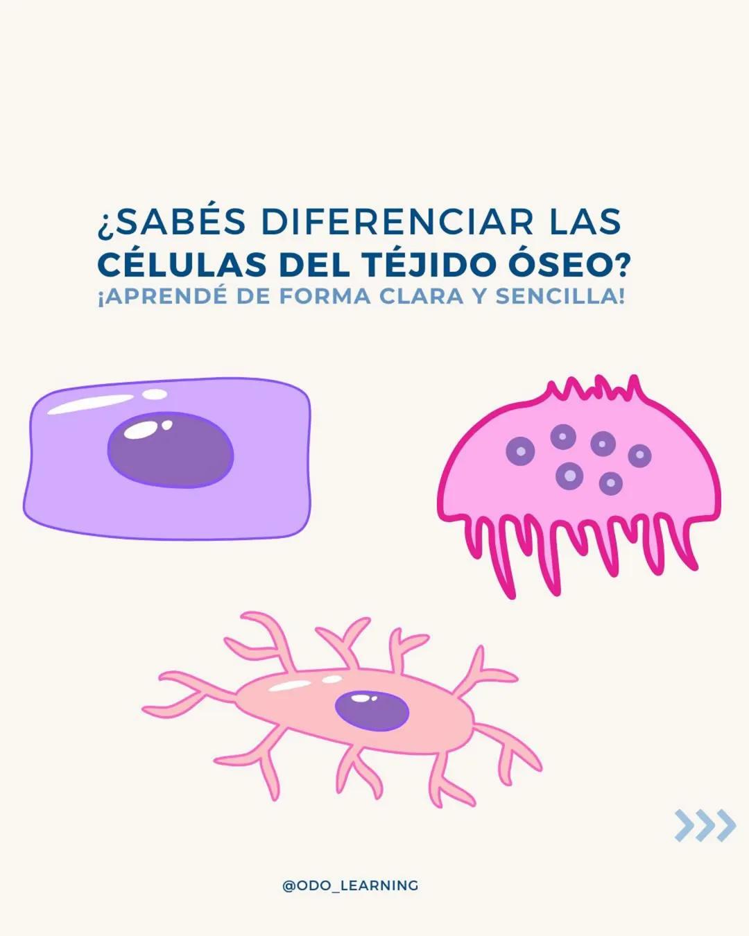 # ¿SABÉS DIFERENCIAR LAS
CÉLULAS DEL TÉJIDO NERVIOSO?
¡APRENDÉ DE FORMA CLARA Y SENCILLA!
NEURONA
NEUROGLIAS
SNC
SNP
ASTROCITOS
CÉLULA SATEL