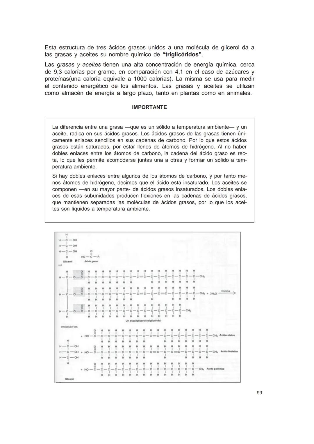 UNIVERSIDAD
CATÓLICA DE CORDOBA
Universidad Jesuita
# Introducción al estudio de
# las ciencias naturales
Diego Andrione
EDUCC
EDITORIAL