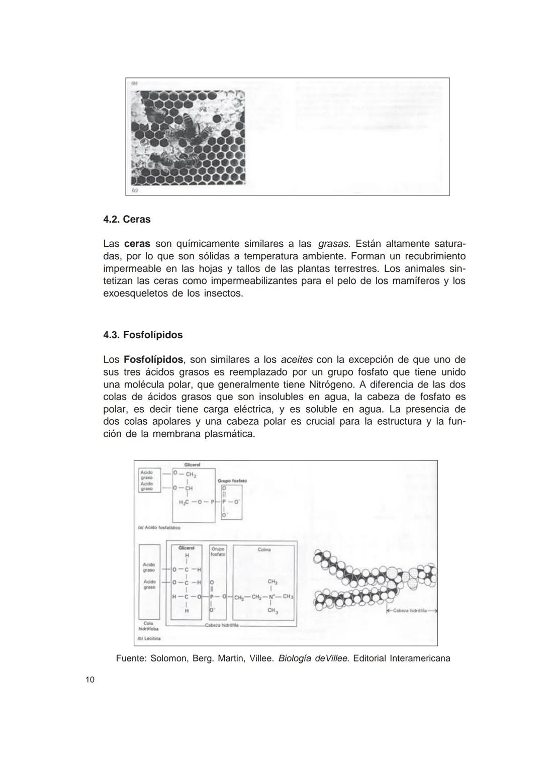 UNIVERSIDAD
CATÓLICA DE CORDOBA
Universidad Jesuita
# Introducción al estudio de
# las ciencias naturales
Diego Andrione
EDUCC
EDITORIAL