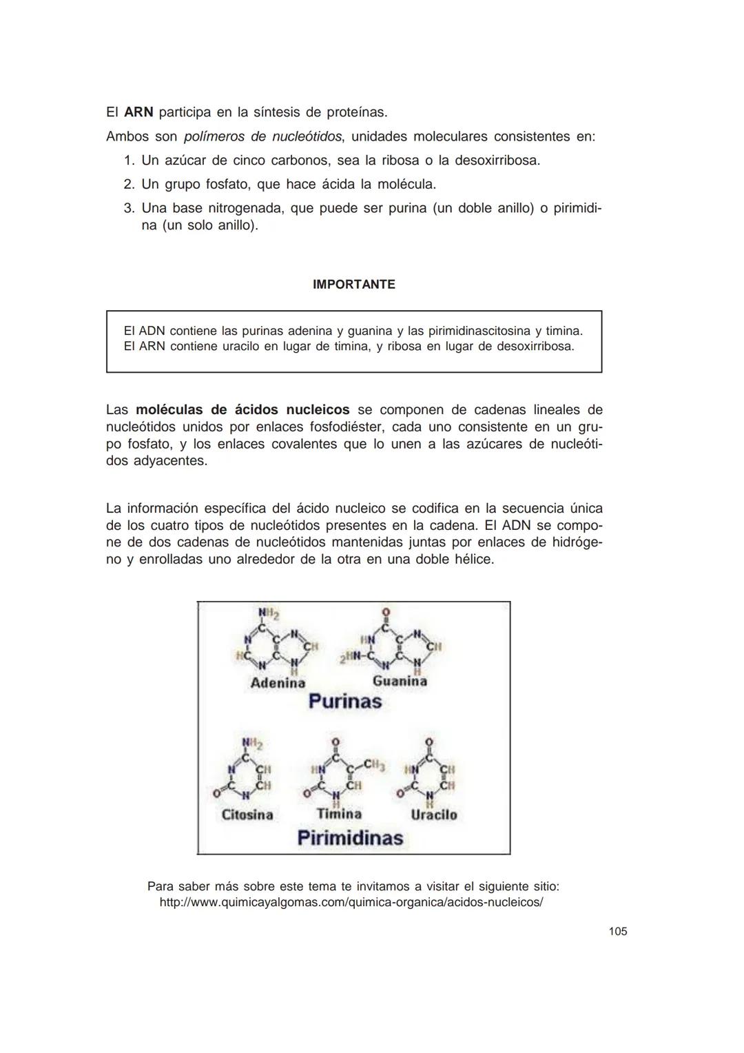 UNIVERSIDAD
CATÓLICA DE CORDOBA
Universidad Jesuita
# Introducción al estudio de
# las ciencias naturales
Diego Andrione
EDUCC
EDITORIAL
