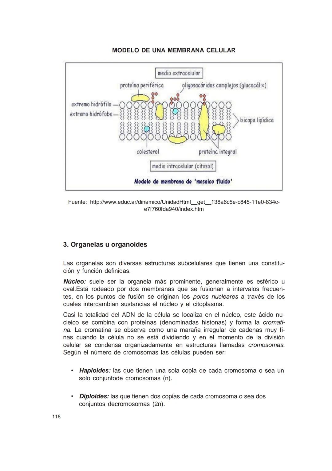 UNIVERSIDAD
CATÓLICA DE CORDOBA
Universidad Jesuita
# Introducción al estudio de
# las ciencias naturales
Diego Andrione
EDUCC
EDITORIAL