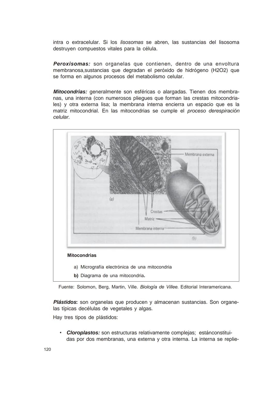 UNIVERSIDAD
CATÓLICA DE CORDOBA
Universidad Jesuita
# Introducción al estudio de
# las ciencias naturales
Diego Andrione
EDUCC
EDITORIAL