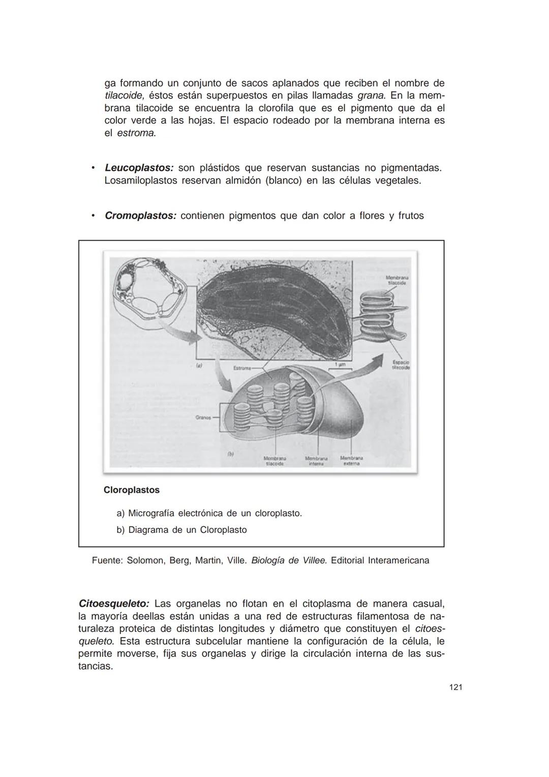 UNIVERSIDAD
CATÓLICA DE CORDOBA
Universidad Jesuita
# Introducción al estudio de
# las ciencias naturales
Diego Andrione
EDUCC
EDITORIAL