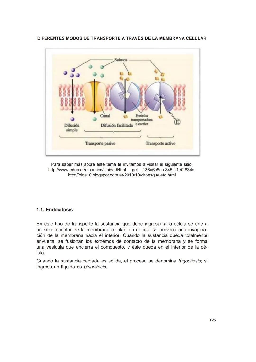UNIVERSIDAD
CATÓLICA DE CORDOBA
Universidad Jesuita
# Introducción al estudio de
# las ciencias naturales
Diego Andrione
EDUCC
EDITORIAL