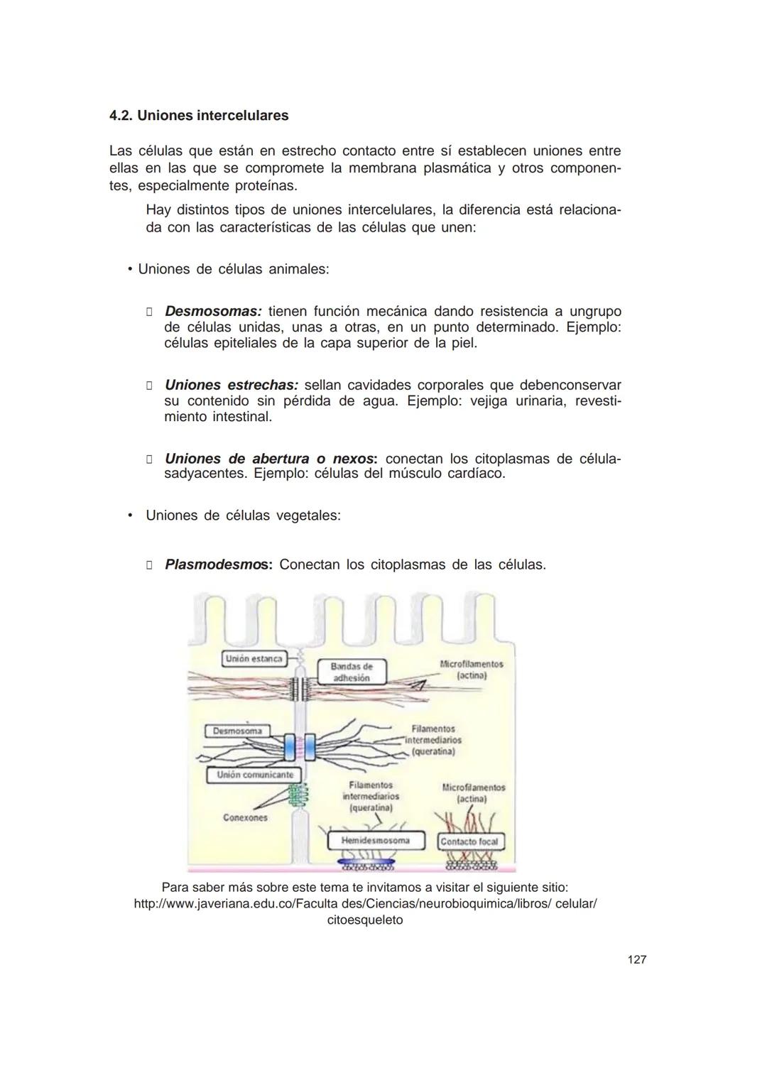UNIVERSIDAD
CATÓLICA DE CORDOBA
Universidad Jesuita
# Introducción al estudio de
# las ciencias naturales
Diego Andrione
EDUCC
EDITORIAL