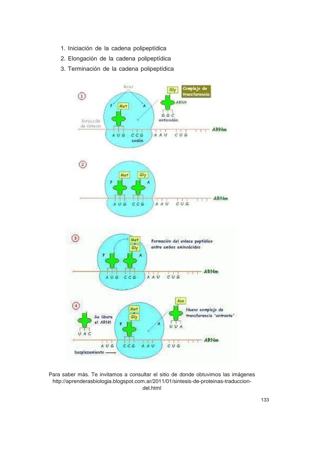 UNIVERSIDAD
CATÓLICA DE CORDOBA
Universidad Jesuita
# Introducción al estudio de
# las ciencias naturales
Diego Andrione
EDUCC
EDITORIAL