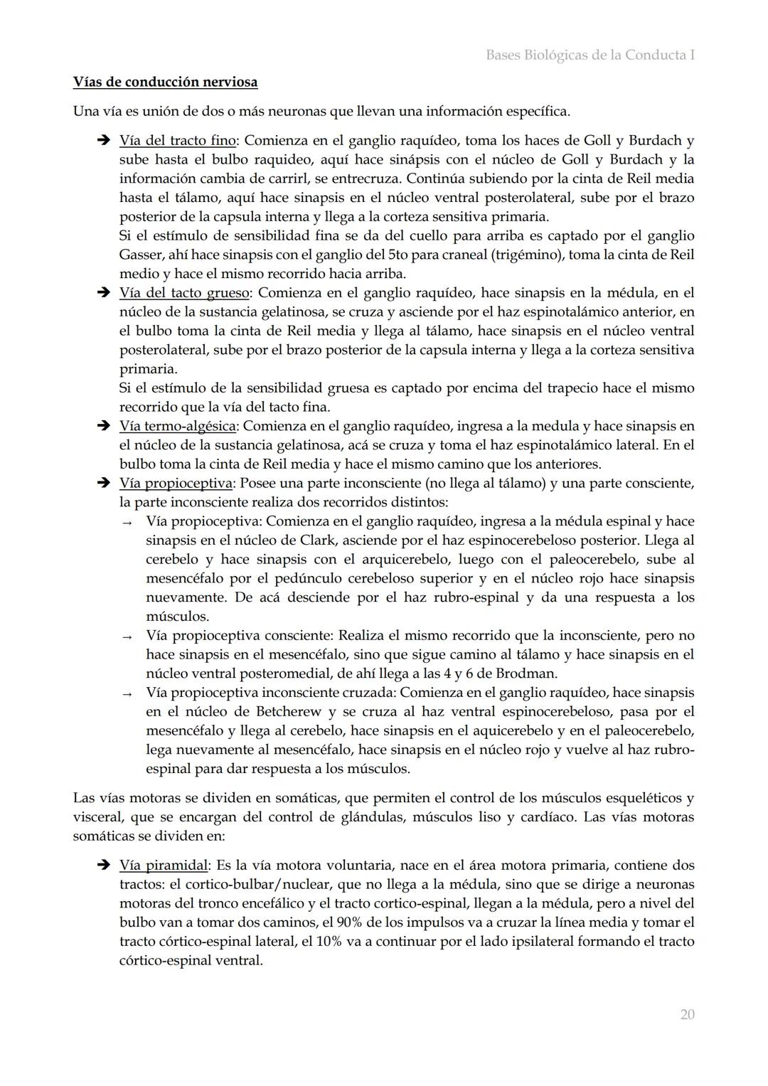 # Bases Biológicas de la Conducta I
Bases biológicas de la conducta I
SISITEMA NERVIOSO
Es el conjunto de formaciones anatómicas que tien