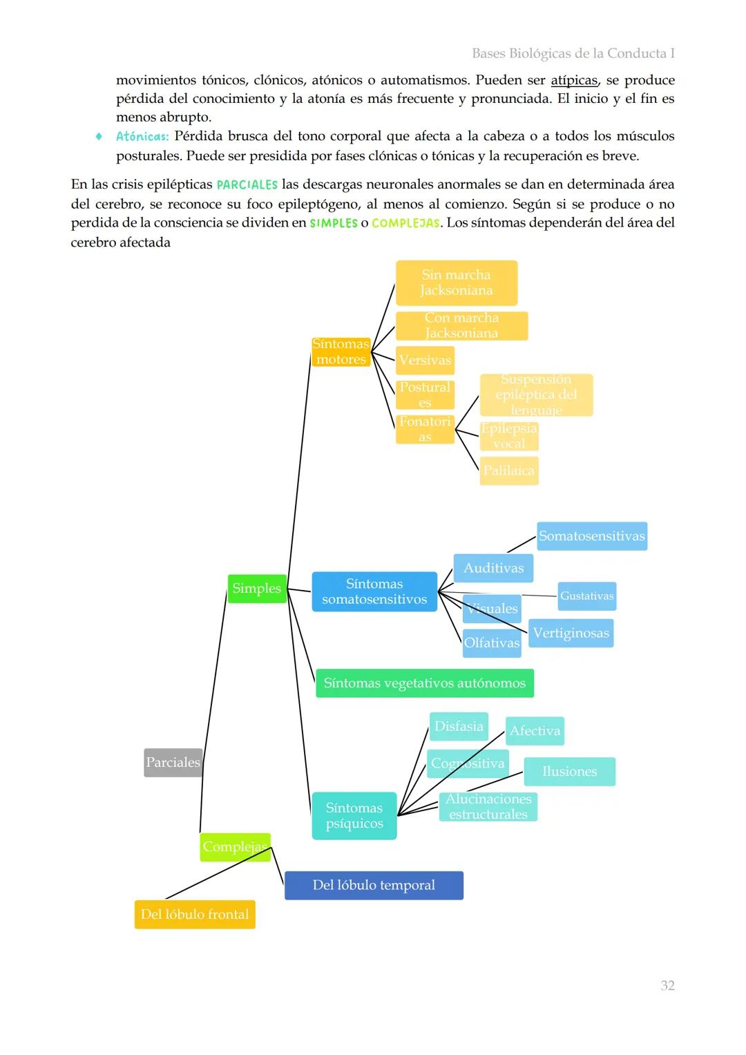 # Bases Biológicas de la Conducta I
Bases biológicas de la conducta I
SISITEMA NERVIOSO
Es el conjunto de formaciones anatómicas que tien