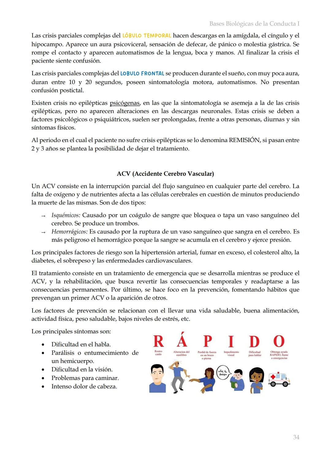 # Bases Biológicas de la Conducta I
Bases biológicas de la conducta I
SISITEMA NERVIOSO
Es el conjunto de formaciones anatómicas que tien