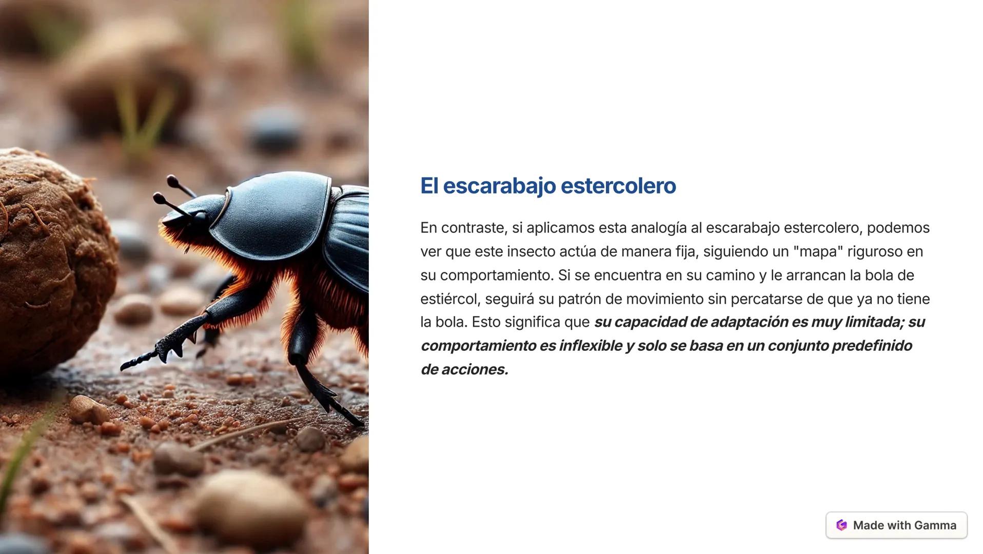 Inteligencia Artificial
Made with Gamma --- OCR Start ---
Conceptos relacionados con la IA
Inteligencia Artificial
La IA es la capacidad de