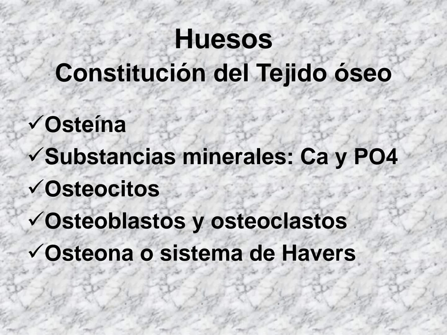 # APARATO
# LOCOMOTOR
HUESOS
ARTICULACIONES
MÚSCULOS Maxilla-
-Skull
Shoulder
joint
Humerus.
Elbowjoint
Radius
Ulna
Mandible
Clavicle