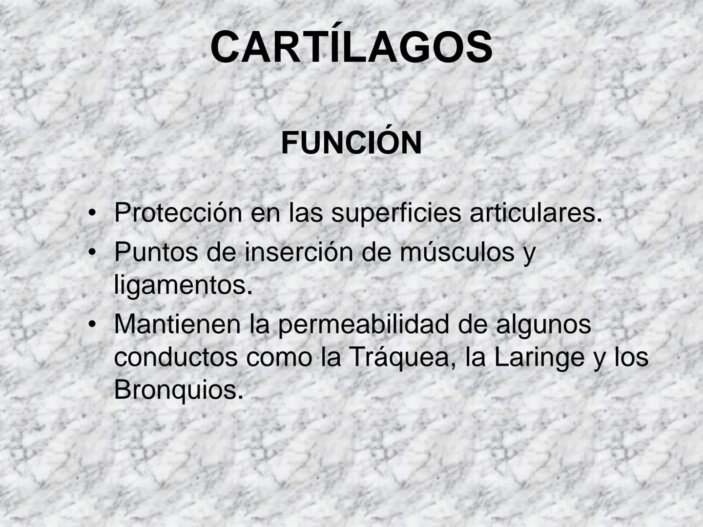 # APARATO
# LOCOMOTOR
HUESOS
ARTICULACIONES
MÚSCULOS Maxilla-
-Skull
Shoulder
joint
Humerus.
Elbowjoint
Radius
Ulna
Mandible
Clavicle