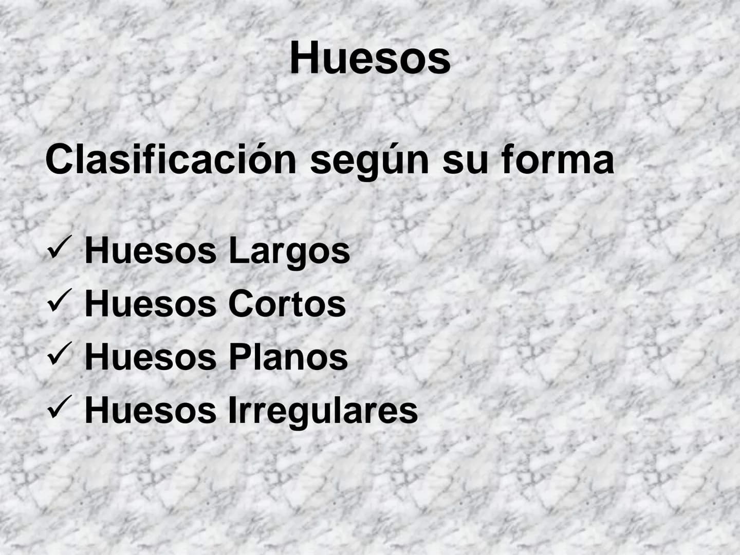# APARATO
# LOCOMOTOR
HUESOS
ARTICULACIONES
MÚSCULOS Maxilla-
-Skull
Shoulder
joint
Humerus.
Elbowjoint
Radius
Ulna
Mandible
Clavicle