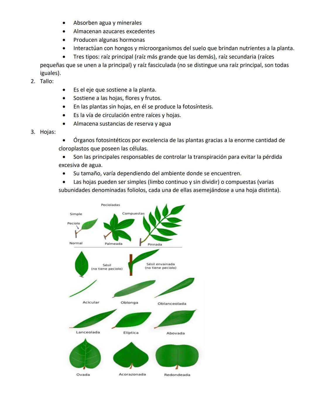 Unidad N°1:
Origen de la vida:
Para explicar el origen de la vida, debemos comprender como inicio todo, comenzando por el inicio del
unive