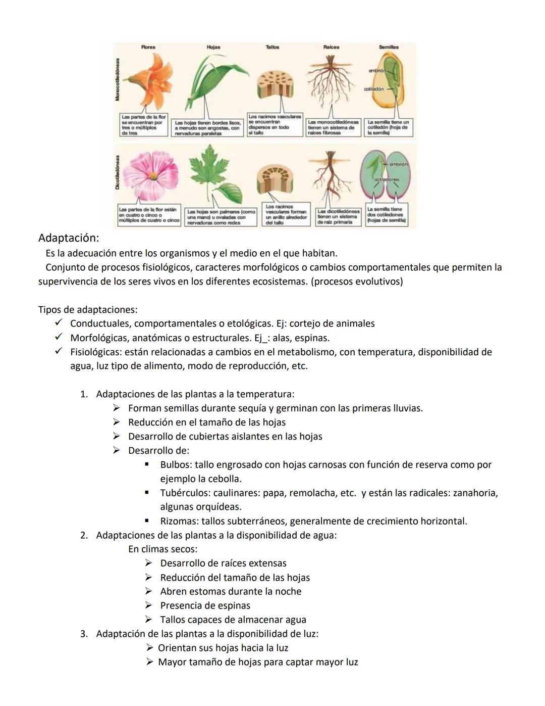 Unidad N°1:
Origen de la vida:
Para explicar el origen de la vida, debemos comprender como inicio todo, comenzando por el inicio del
unive