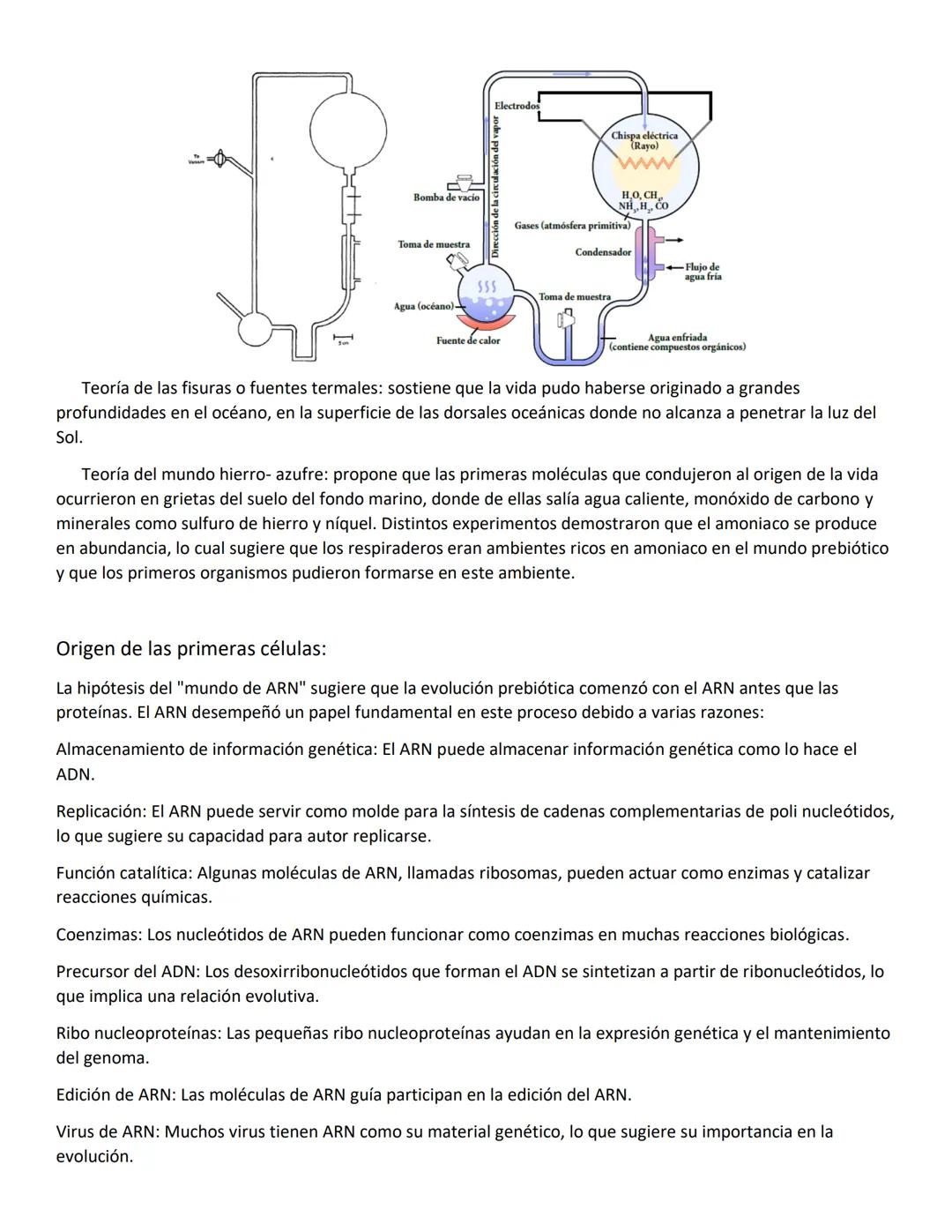 Unidad N°1:
Origen de la vida:
Para explicar el origen de la vida, debemos comprender como inicio todo, comenzando por el inicio del
unive