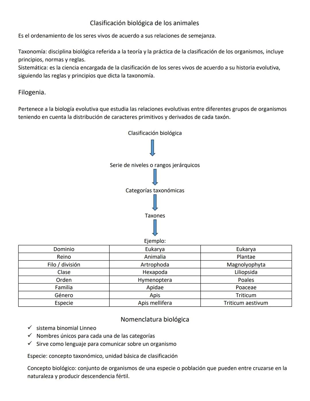 Unidad N°1:
Origen de la vida:
Para explicar el origen de la vida, debemos comprender como inicio todo, comenzando por el inicio del
unive
