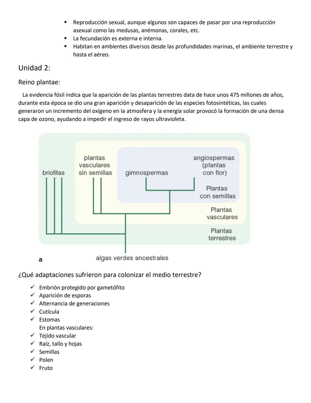 Unidad N°1:
Origen de la vida:
Para explicar el origen de la vida, debemos comprender como inicio todo, comenzando por el inicio del
unive