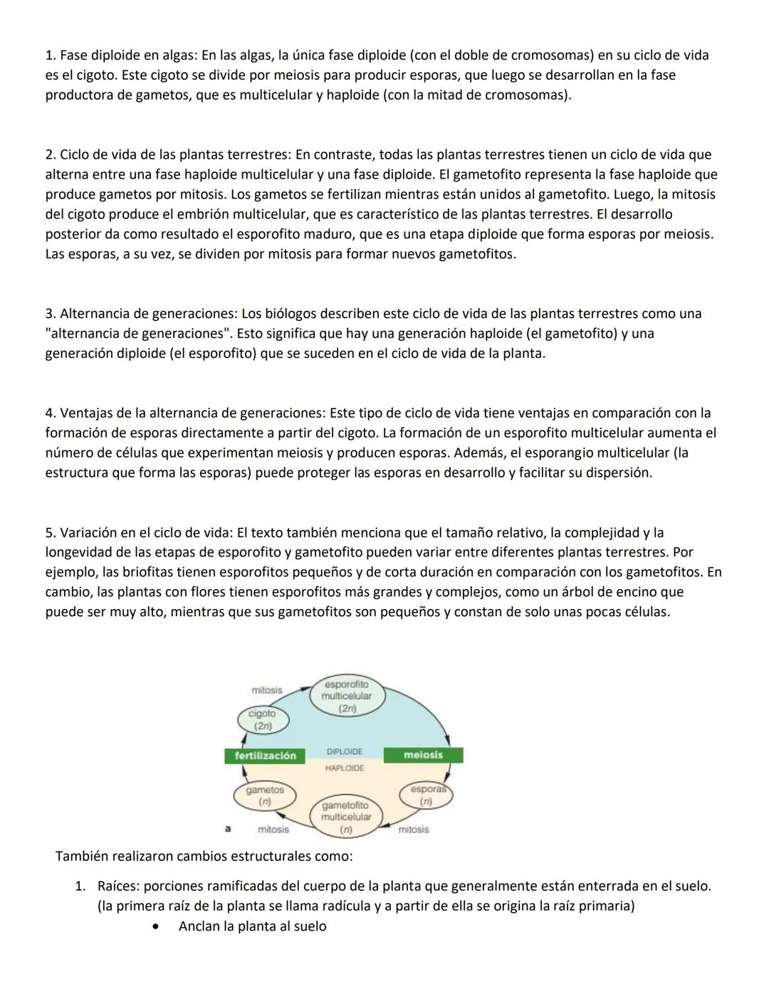 Unidad N°1:
Origen de la vida:
Para explicar el origen de la vida, debemos comprender como inicio todo, comenzando por el inicio del
unive