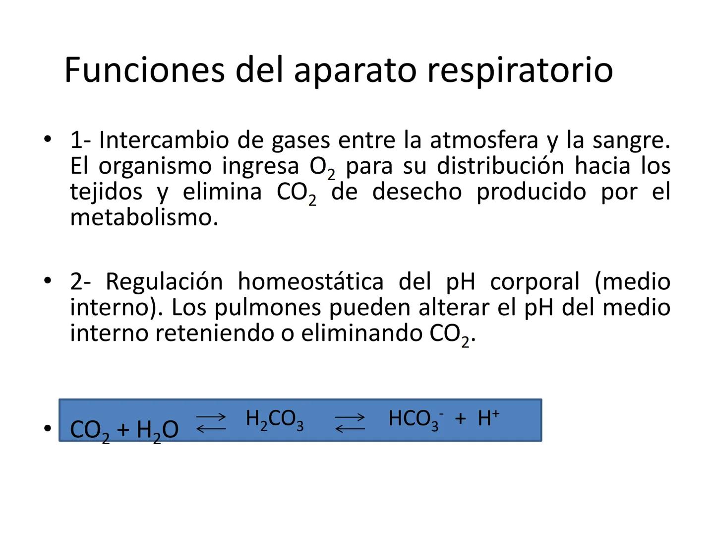 Dra Alejandra Yeves
Antes de comenzar con la clase de sistema respiratorio vamos a
ver una pequeña introducción de sistema cardiovascular..