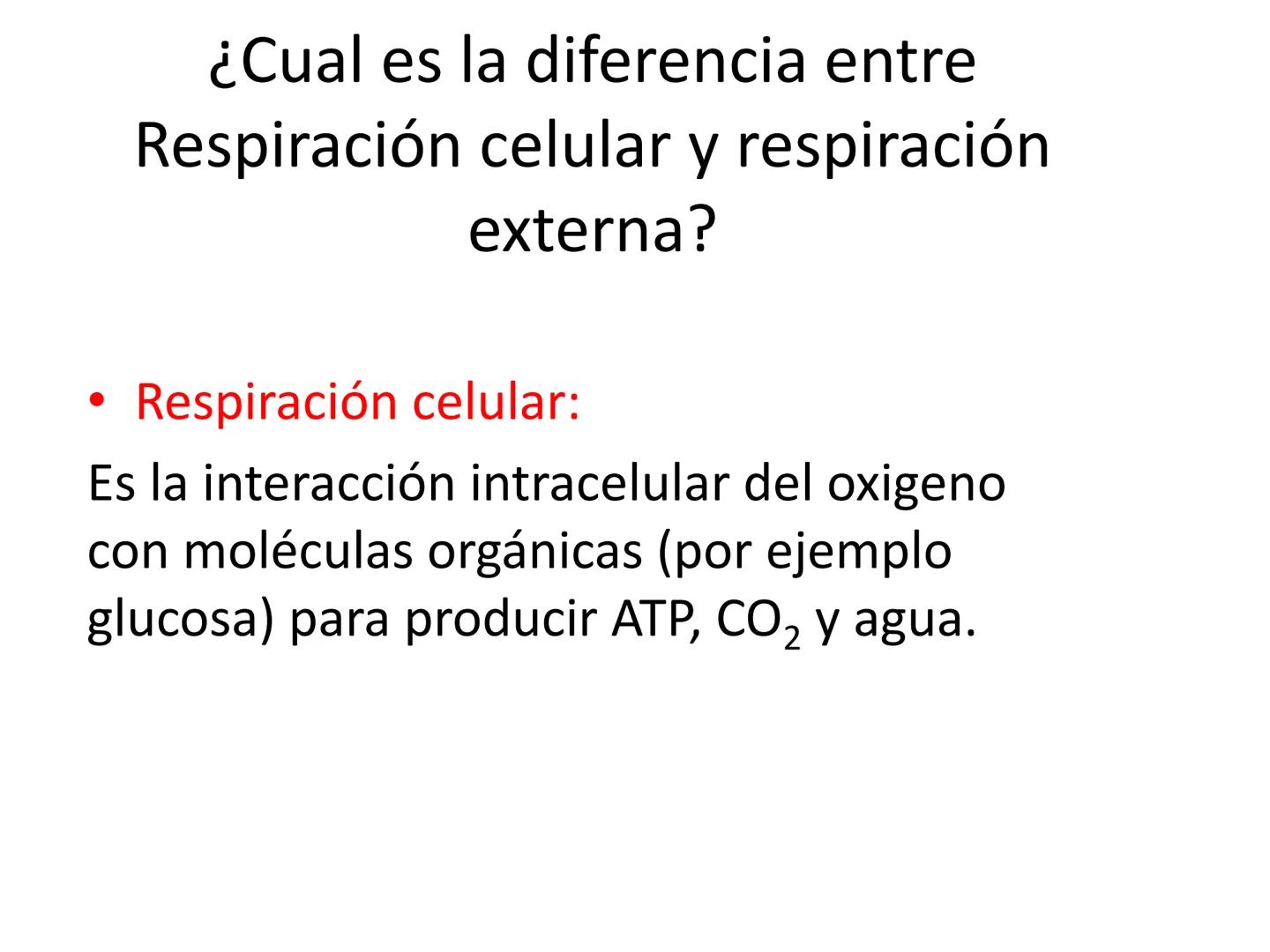 Dra Alejandra Yeves
Antes de comenzar con la clase de sistema respiratorio vamos a
ver una pequeña introducción de sistema cardiovascular..