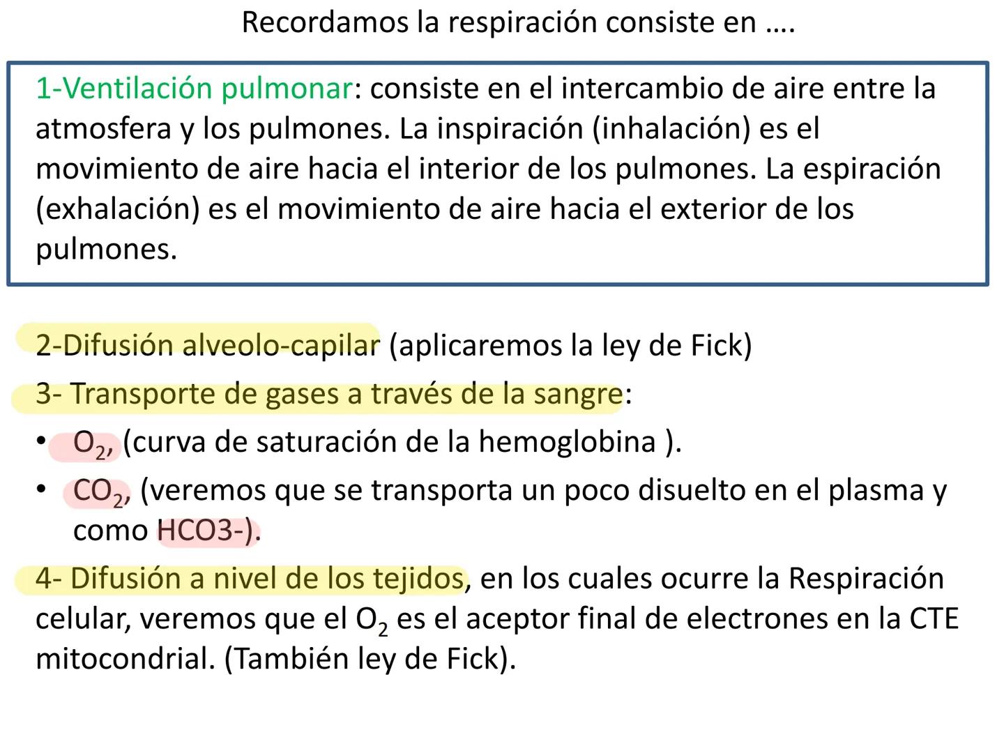 Dra Alejandra Yeves
Antes de comenzar con la clase de sistema respiratorio vamos a
ver una pequeña introducción de sistema cardiovascular..