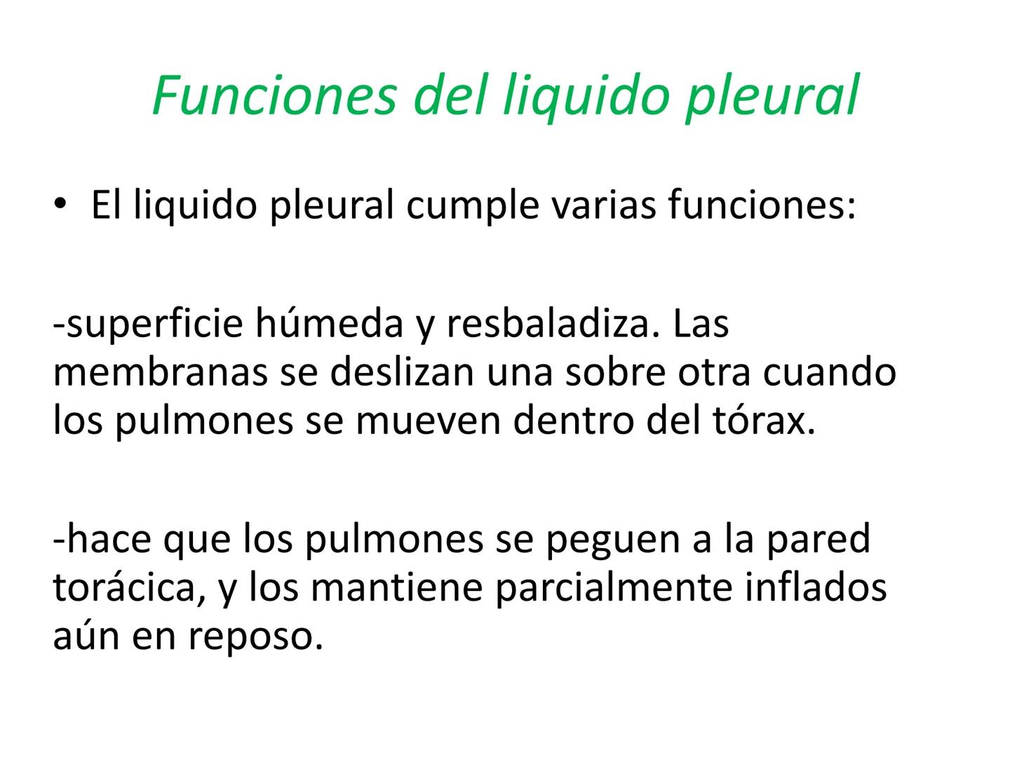 Dra Alejandra Yeves
Antes de comenzar con la clase de sistema respiratorio vamos a
ver una pequeña introducción de sistema cardiovascular..
