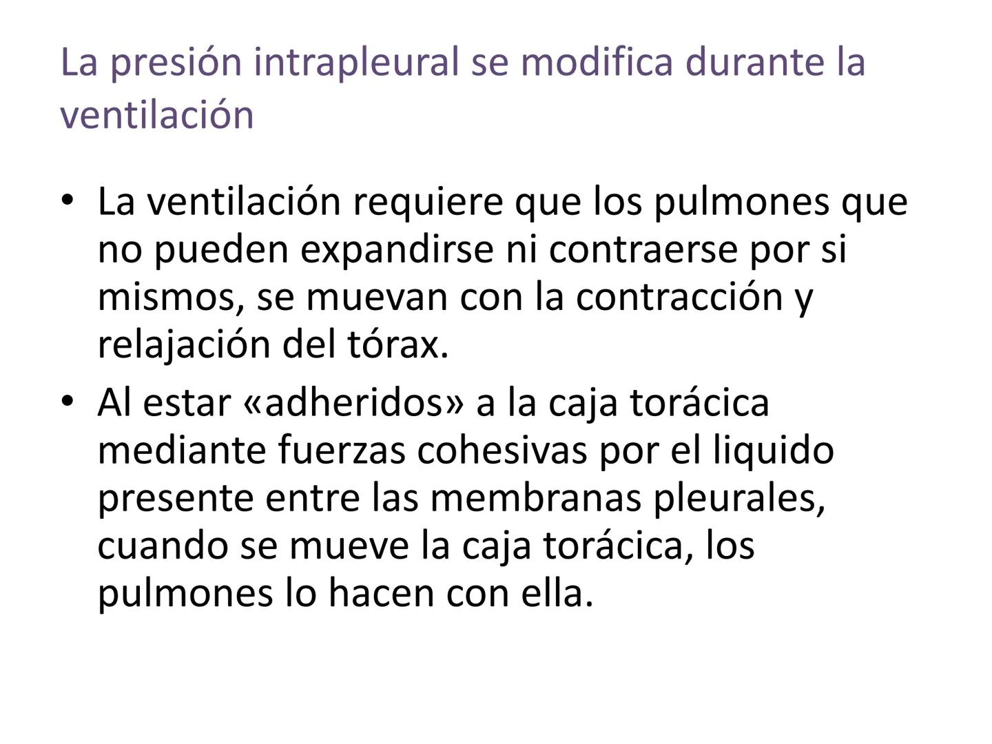 Dra Alejandra Yeves
Antes de comenzar con la clase de sistema respiratorio vamos a
ver una pequeña introducción de sistema cardiovascular..